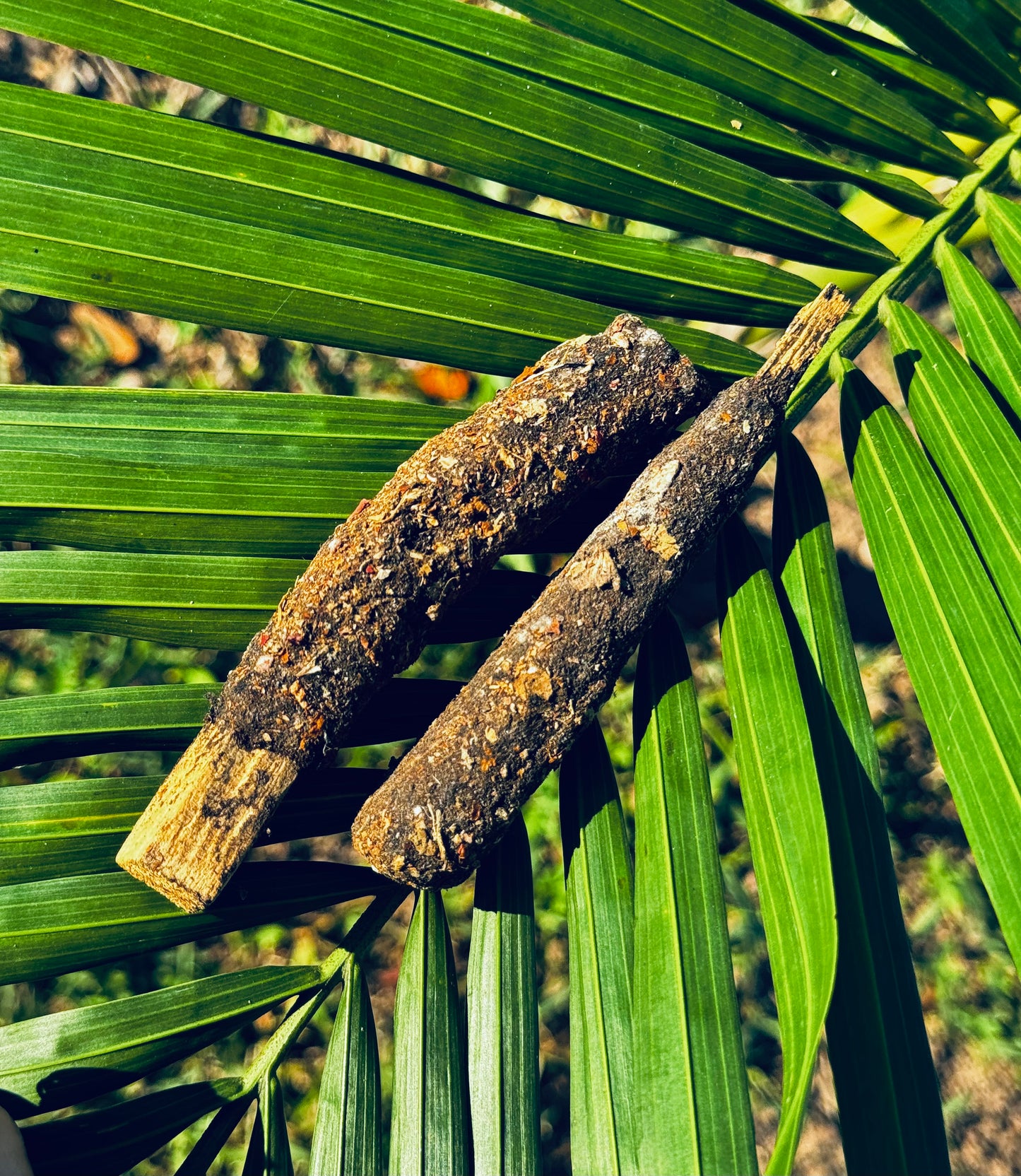 Incienso/Sahumerio Palo Santo con Moldavita