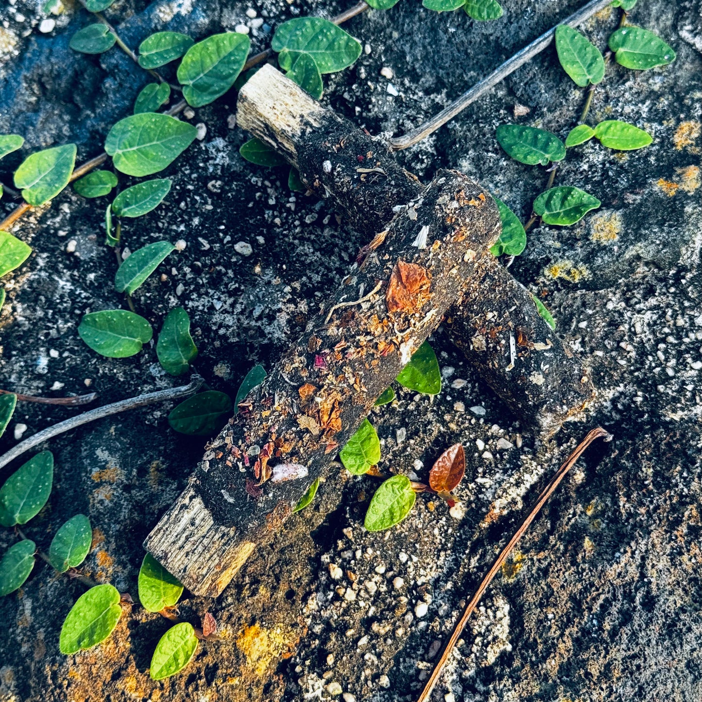 Incienso/Sahumerio Palo Santo con Moldavita